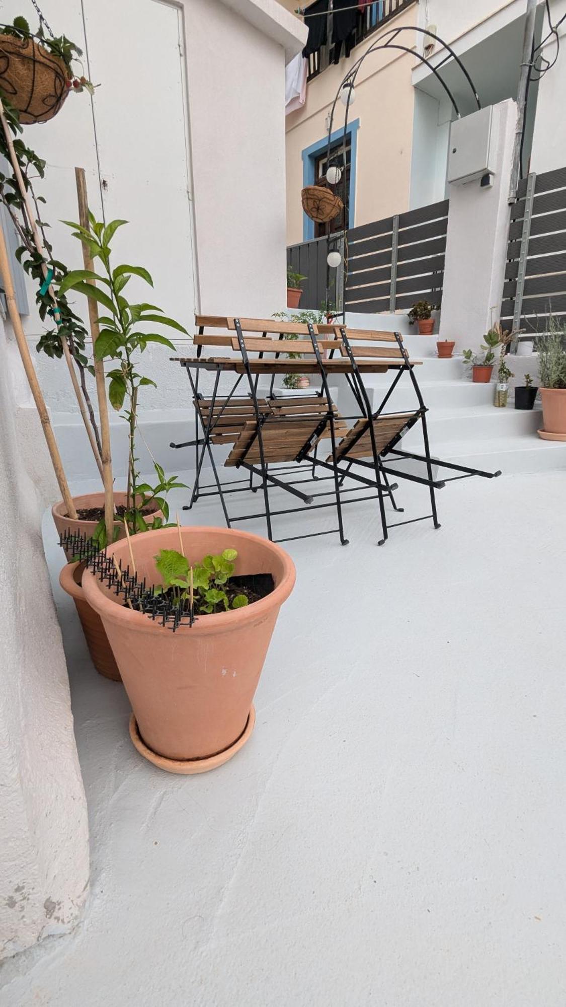 The Botanist Guesthouse 스코펠로스 타운 외부 사진